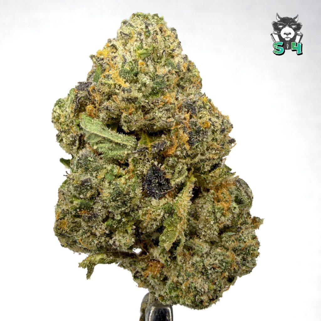 Frog Poison - 34B17