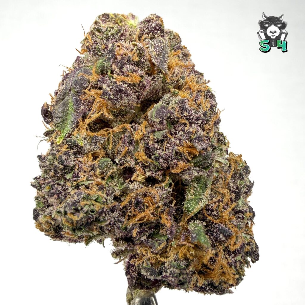 Mandarine Runtz - 40D4