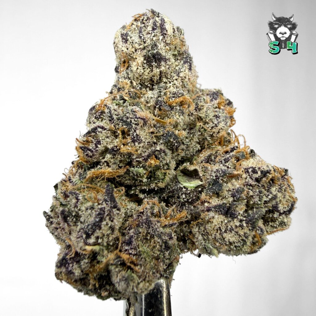 Bubble Gum Gushers - 45C3