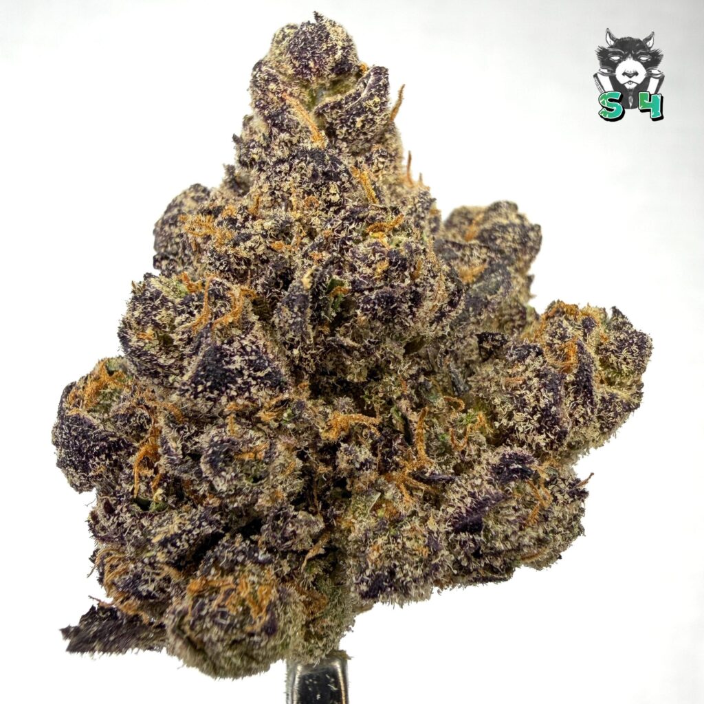 LCG Candy - 68P7