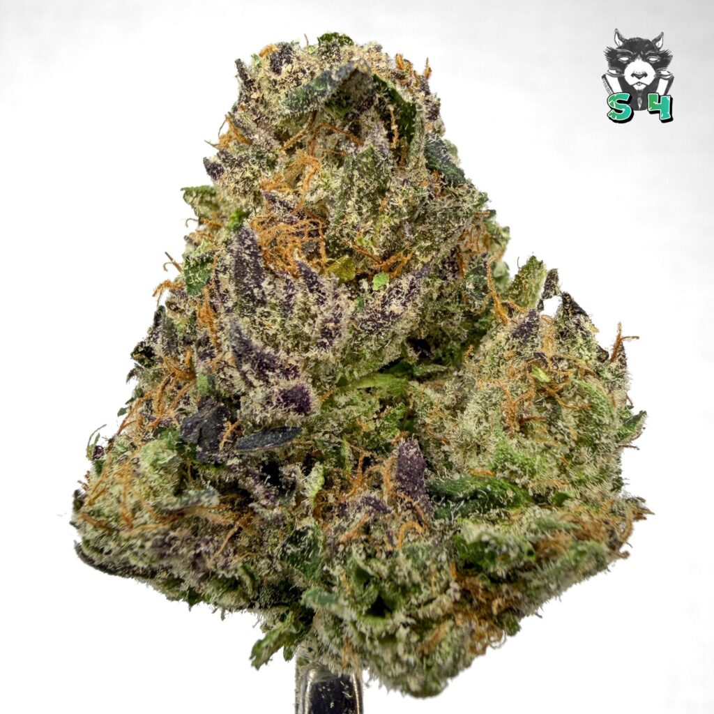 Candy Gas - 37A7