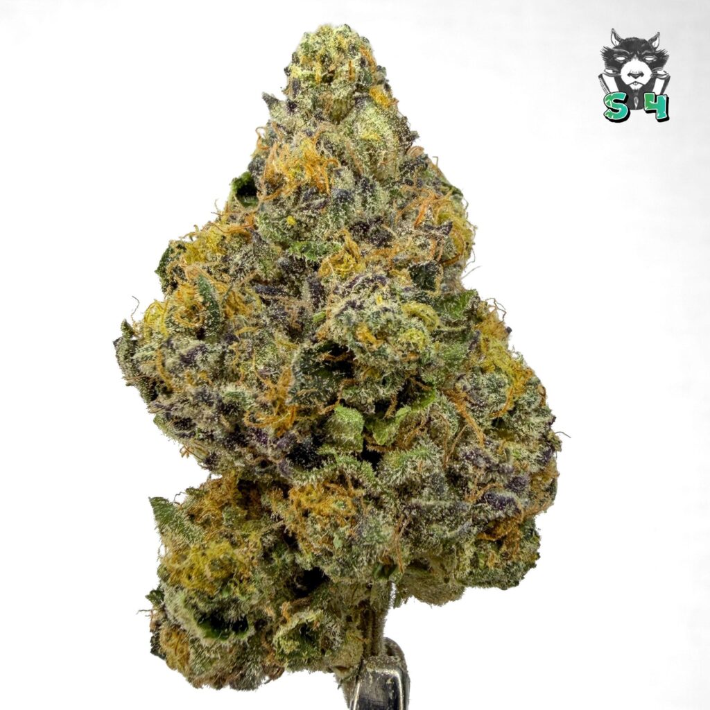 Blue Taffy - 63S8