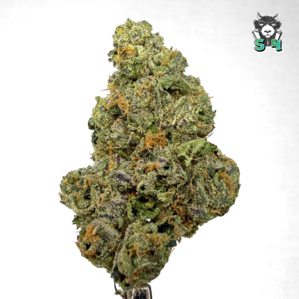 Sweet Skittlez - 65S8