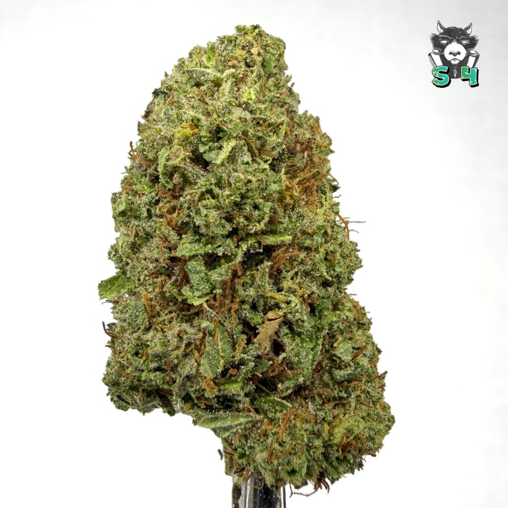 White Runtz - 86C4