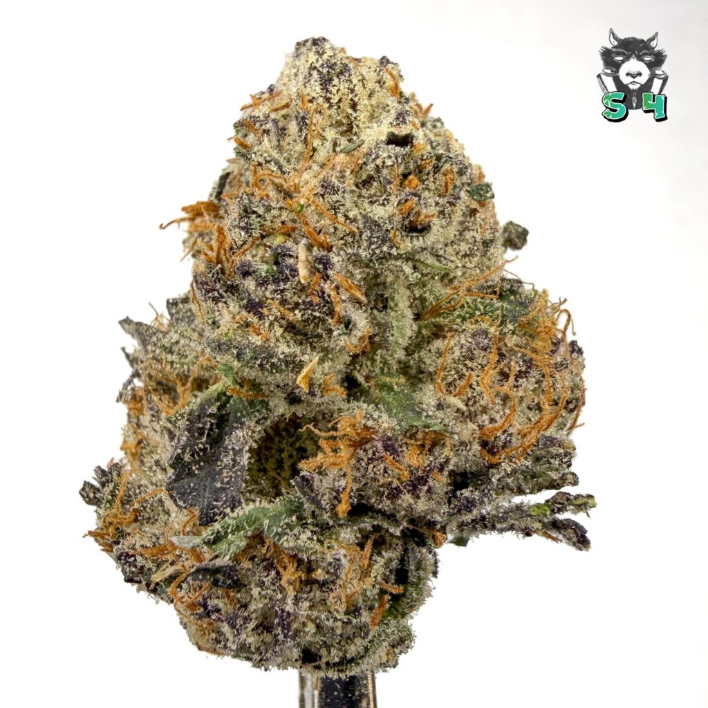 Frosted Runtz - 32D4