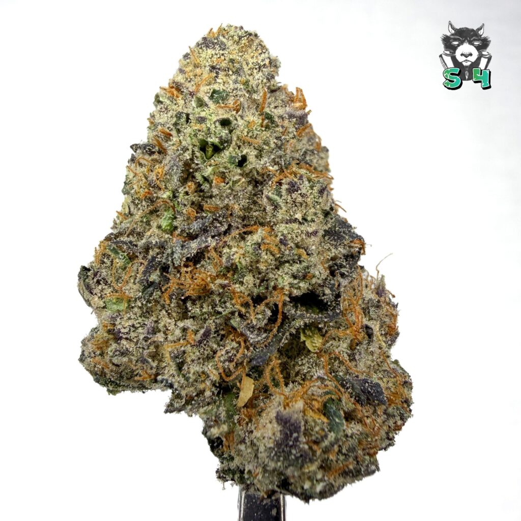 Candy Gas - 37D4