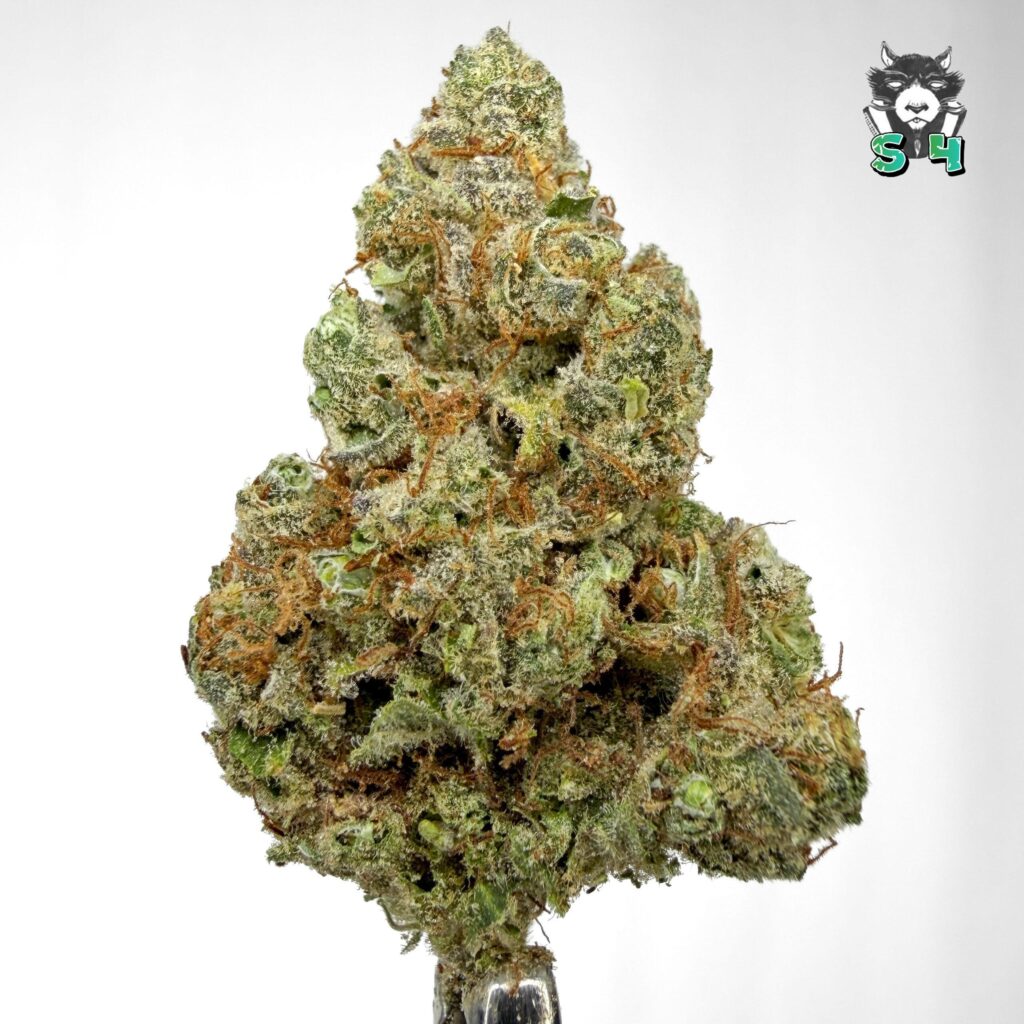 Blue Pop Rocks - 82B6
