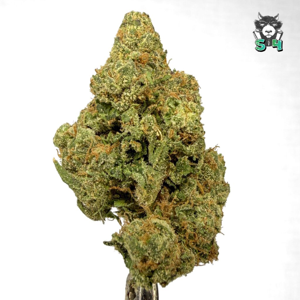Lemon Cherry Fuel - 30M15