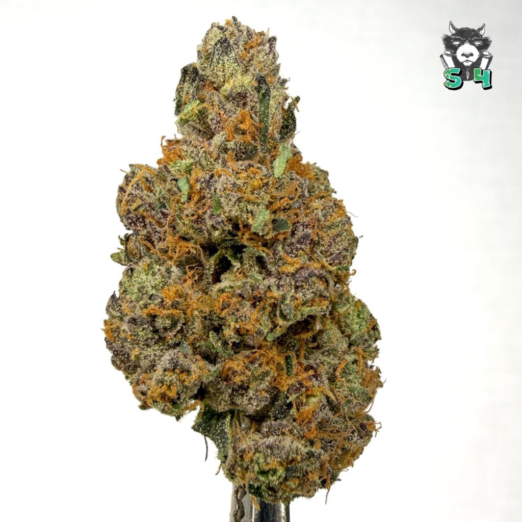 Crunch Berries - 76D33