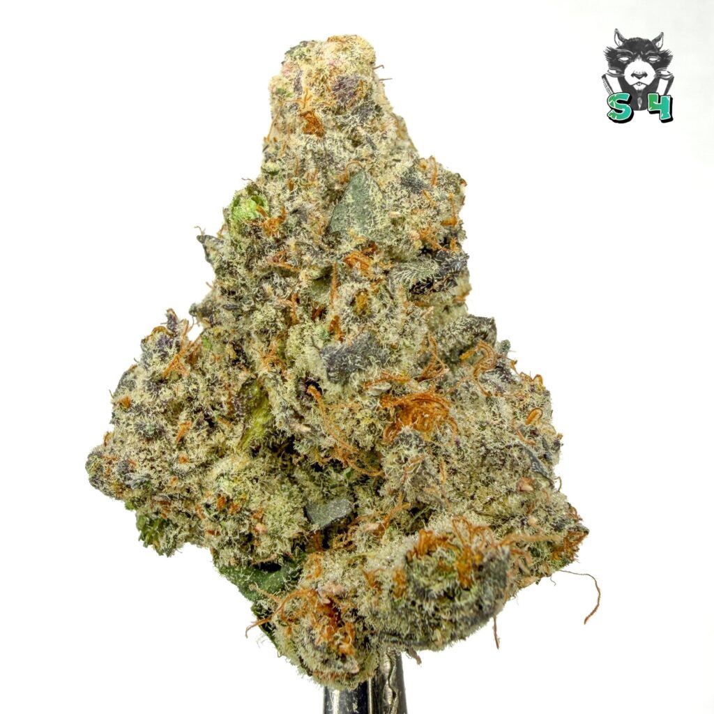 Sour Runtz - 50R28