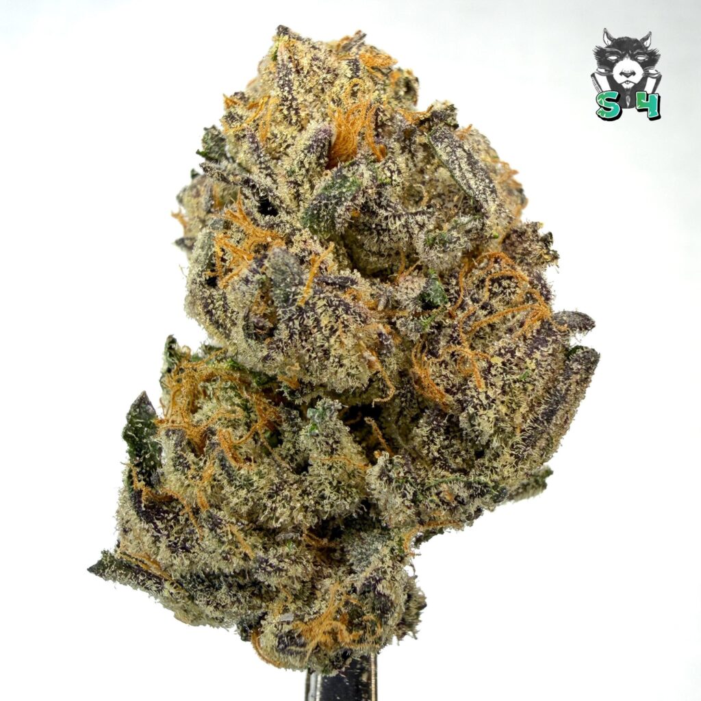 Space Candy - 95N21