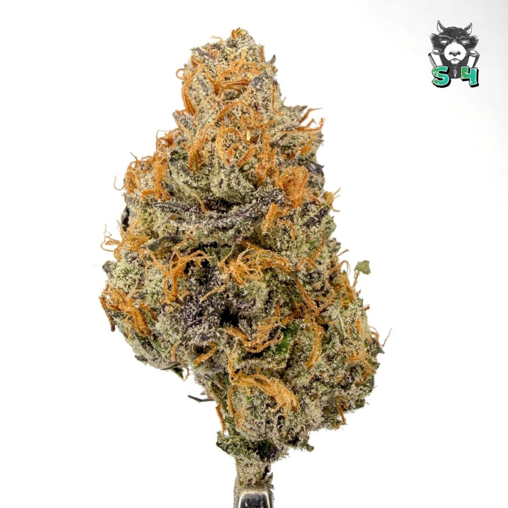 Space Candy - 79N21