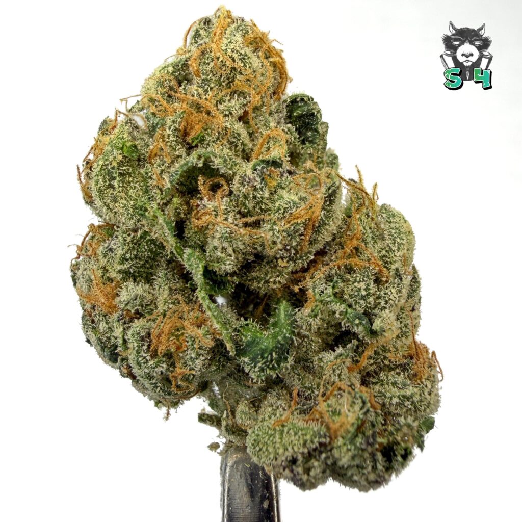 Space Candy - 92N21