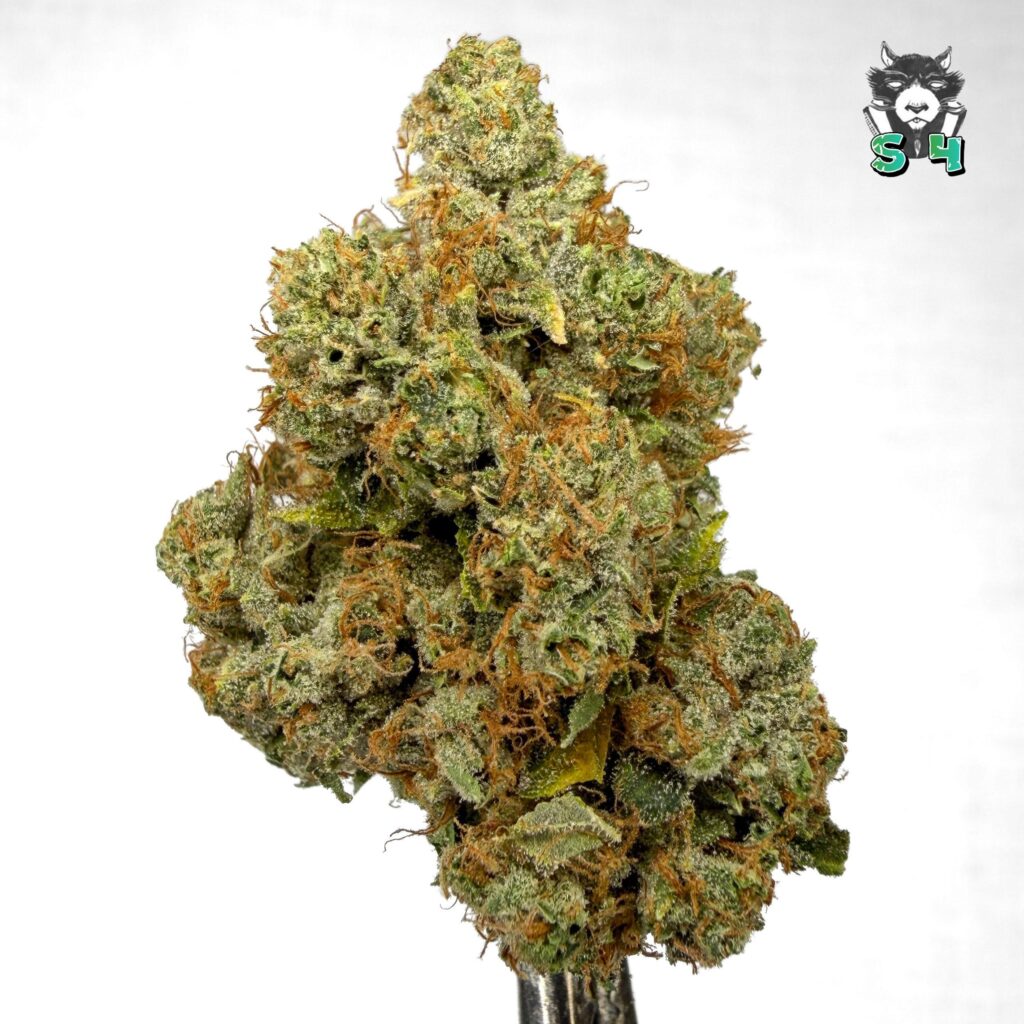 OG Kush - 17G1