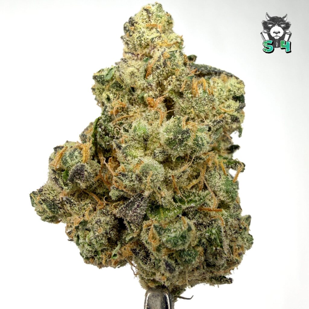 Sour Runtz - 55A4
