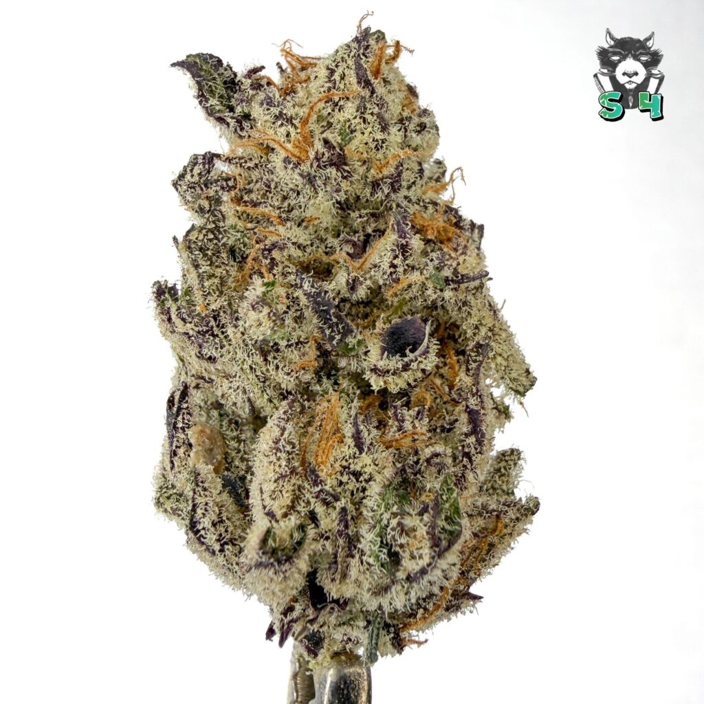 Gorilla Butter - 18J14