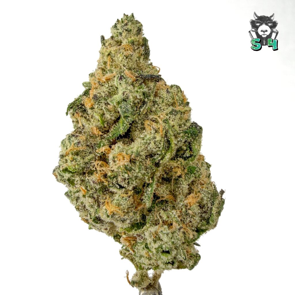 Sour Runtz - 88S8