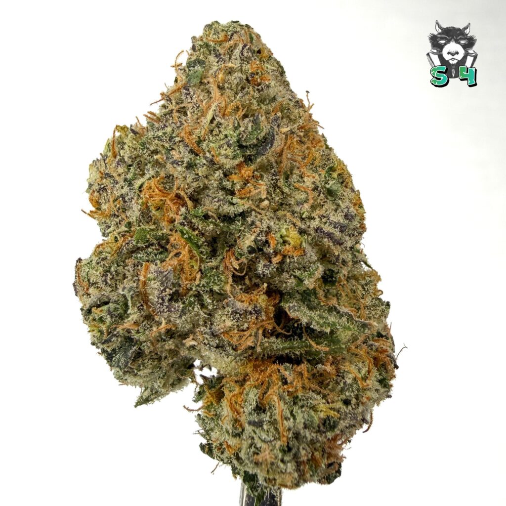 Peach Cobbler Runtz - 95R28
