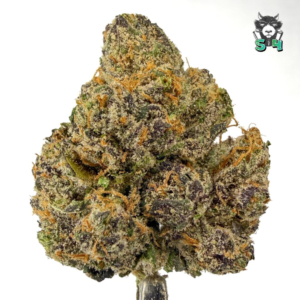 Original Runtz - 25F4