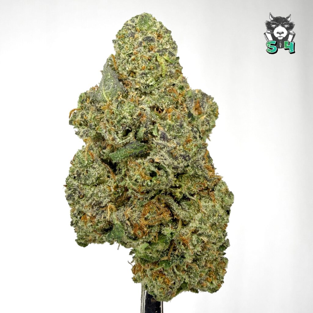 Cherry Lime Runtz - 84Z4