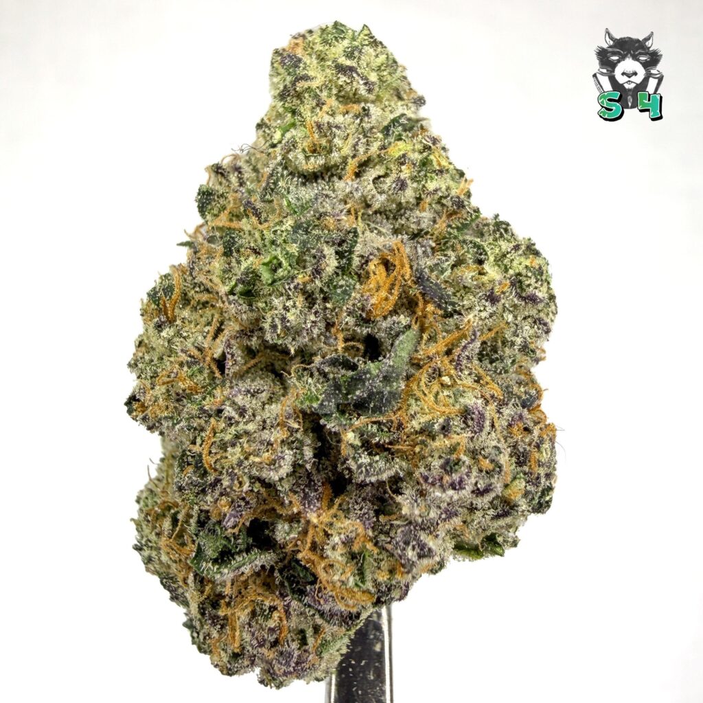 Blue Hard Candy - 66P4