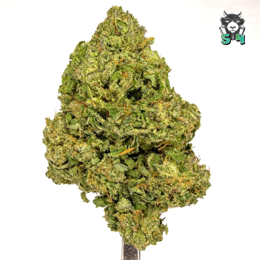 G. Diesel - 53G11