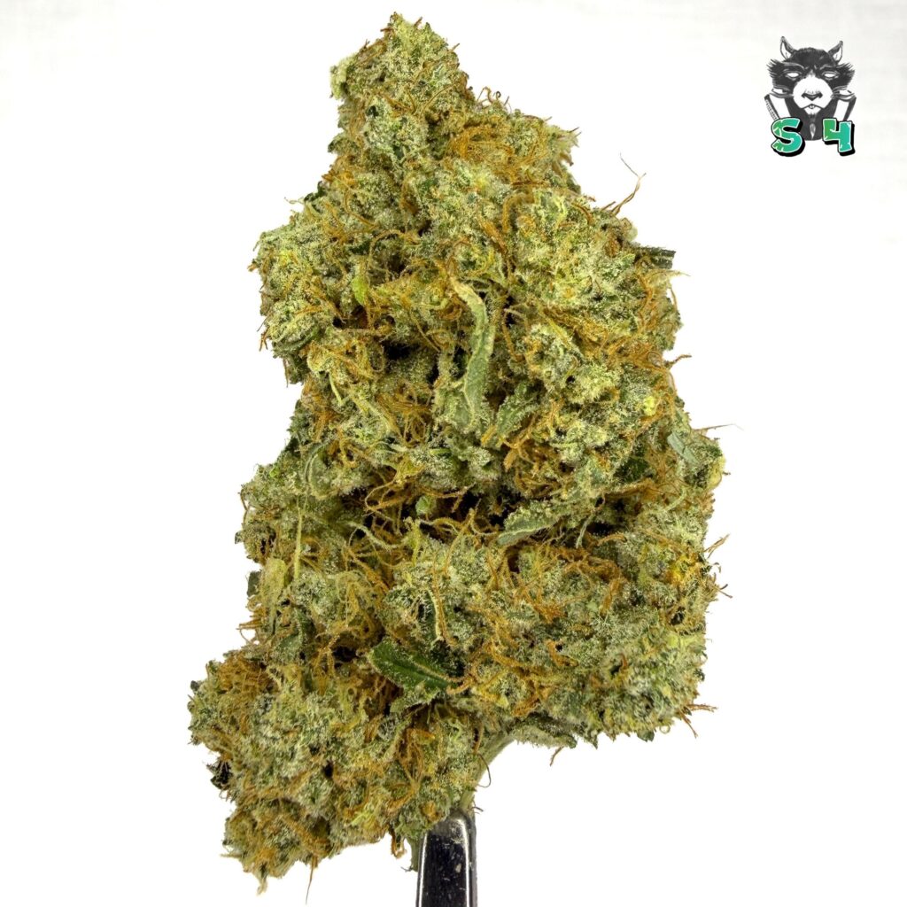 Cake Batter - 63F2