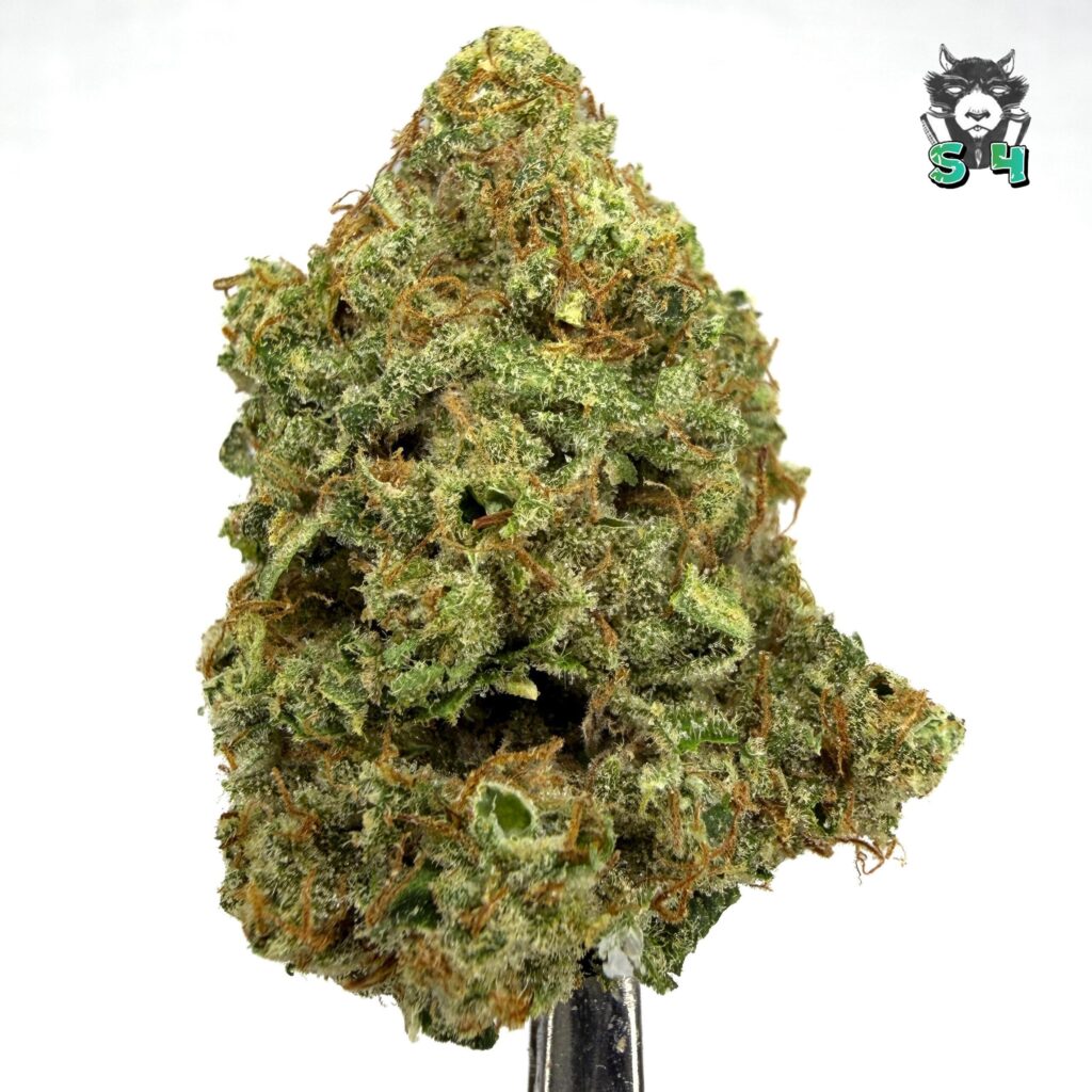 Blue Pop Rocks - 95B6