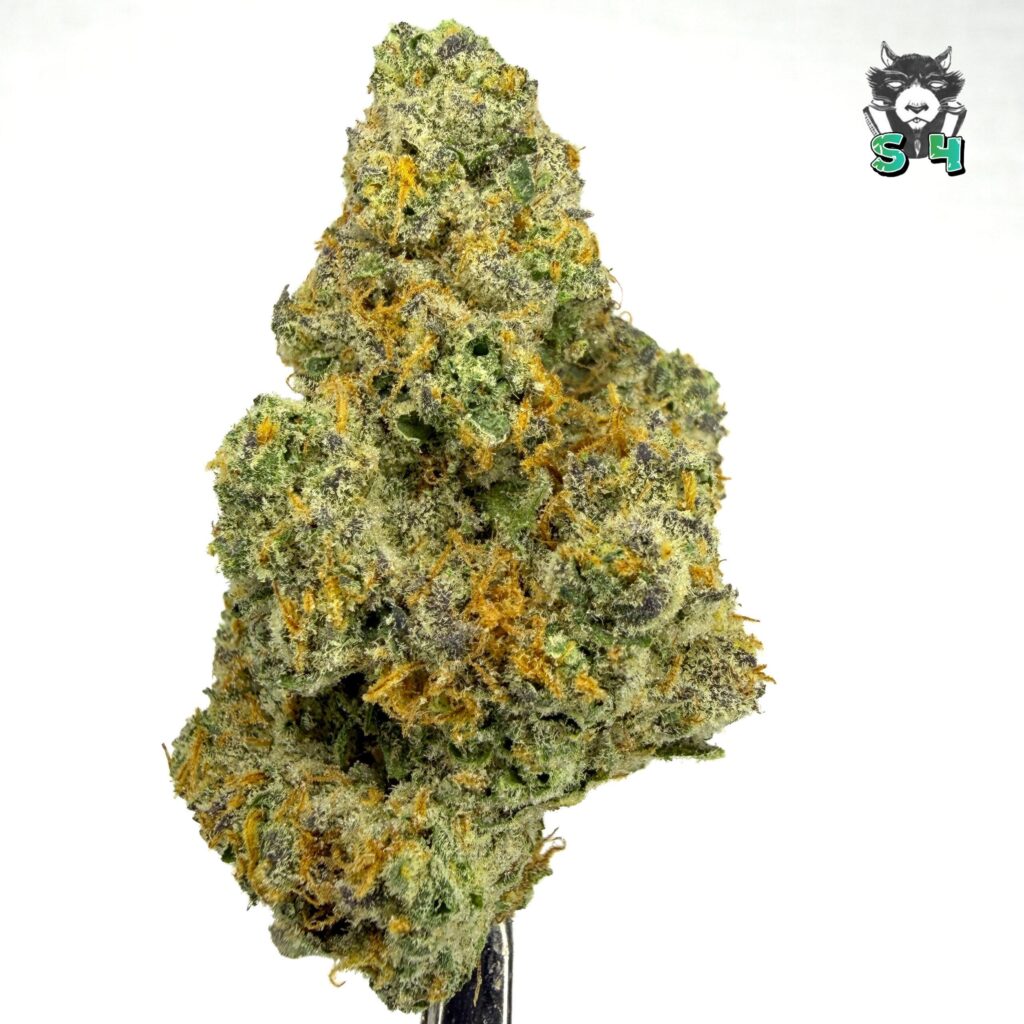 Cookies N Cream - 37A4
