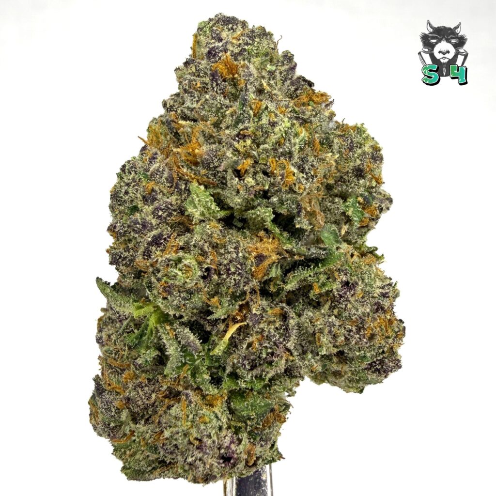 Cherry Lime Runtz - 74Z4