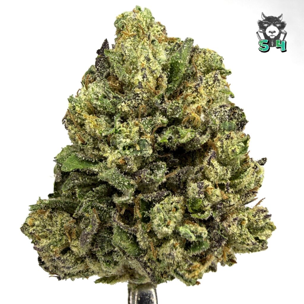 Candy Runtz - 69G9